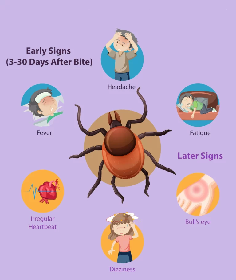 Lyme disease
