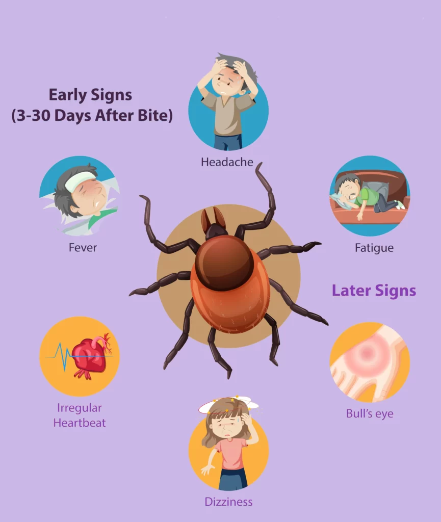 Lyme disease