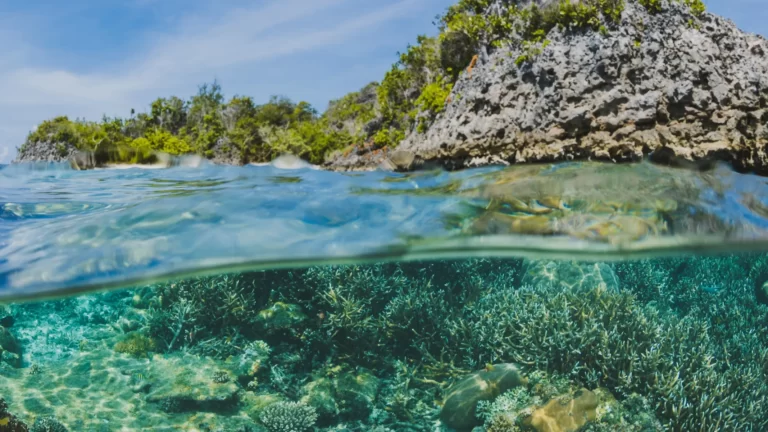 5500 new viruses in the ocean